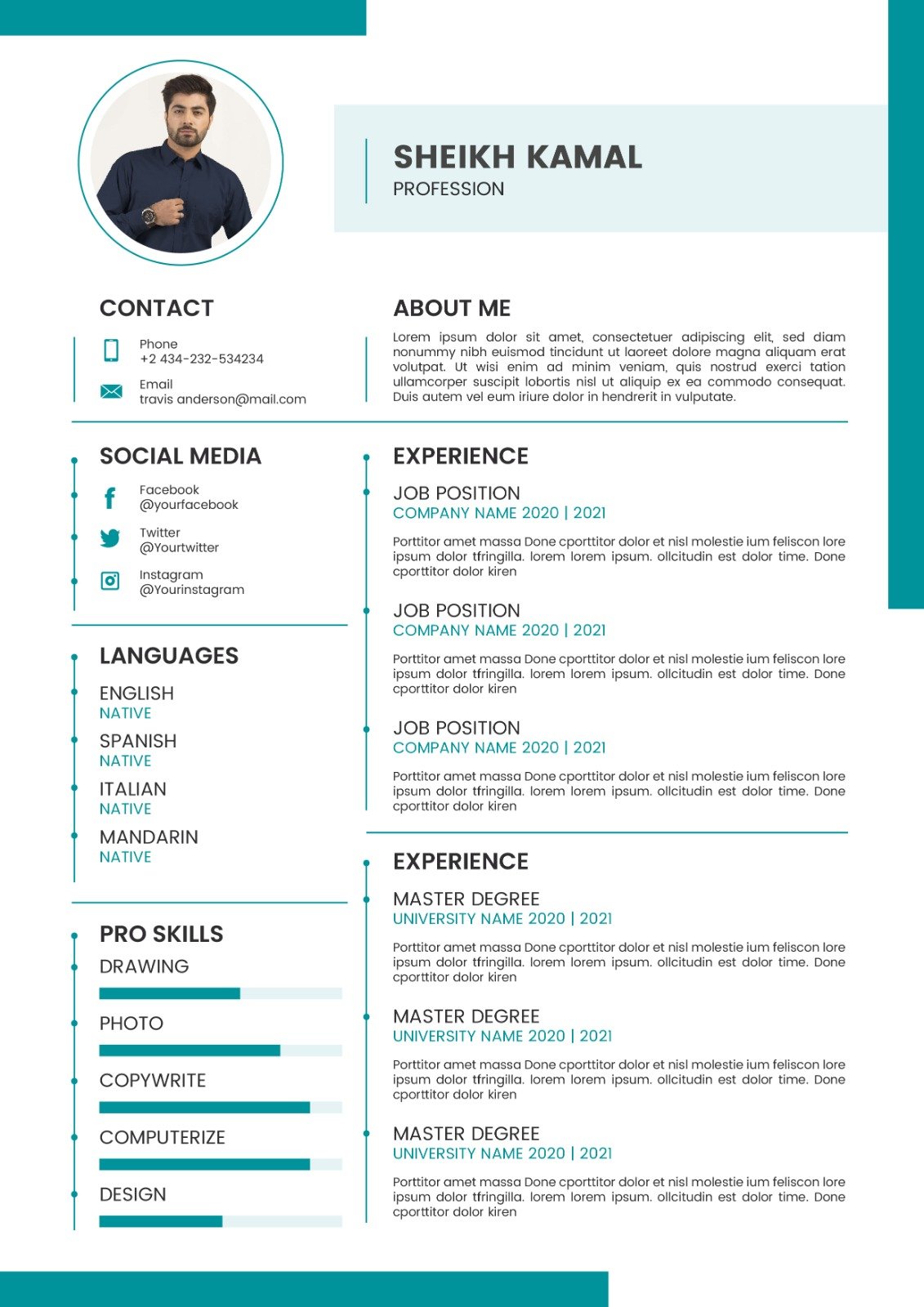 Professional Resume Sample