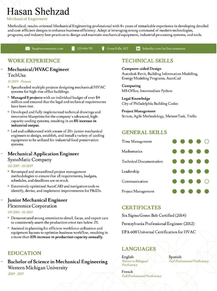 Professional Resume Sample