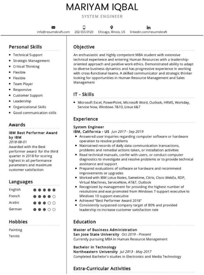 Professional Resume Sample